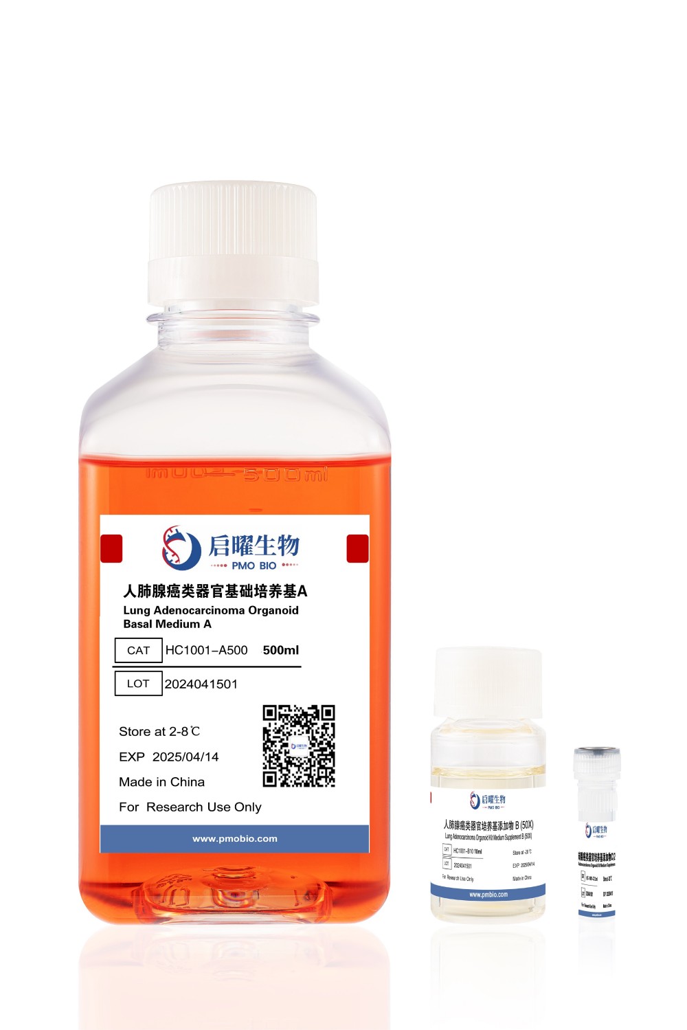 NGC Organoid®人肺腺癌类器官培养基