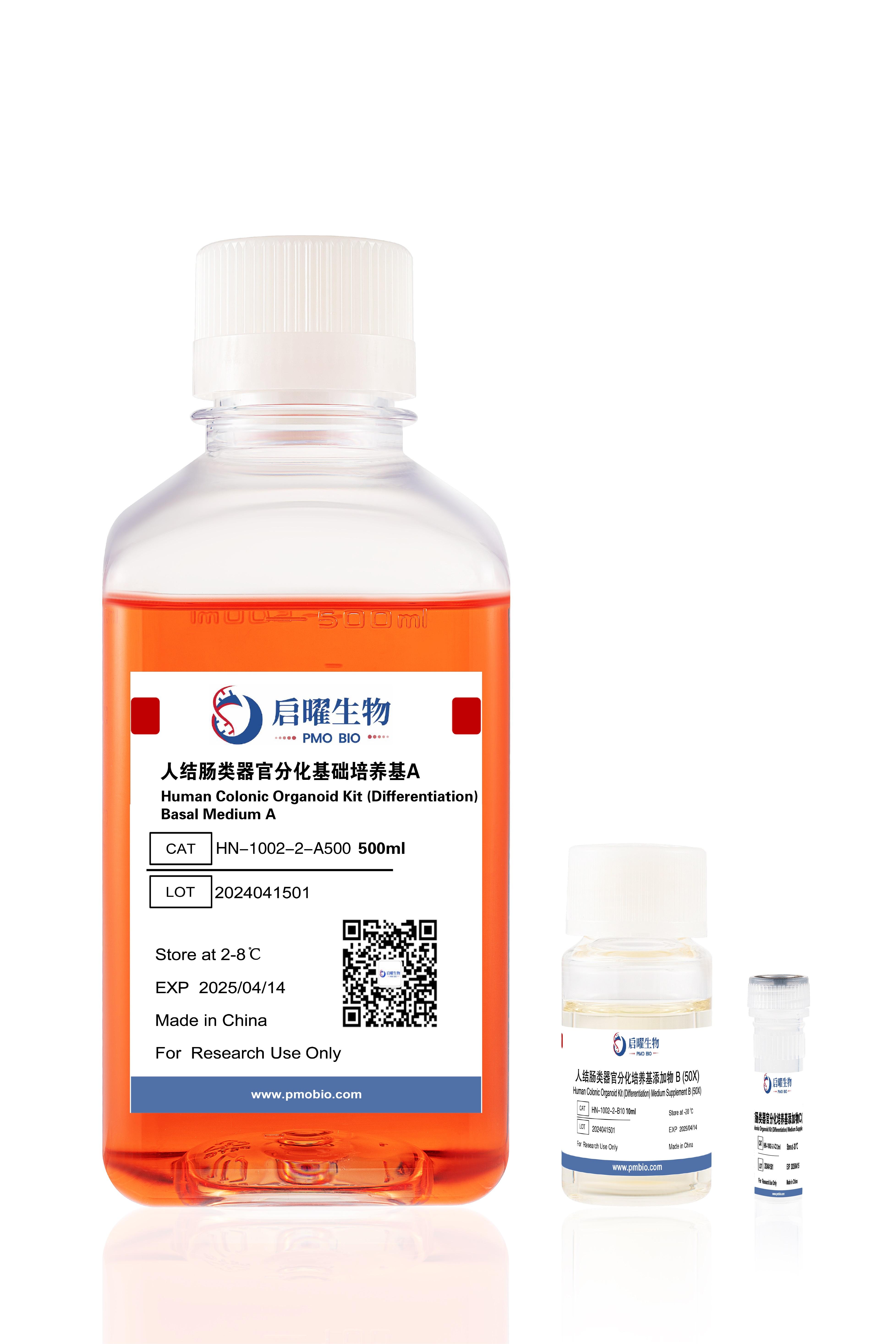 NGC Organoid®人结肠类器官分化培养基