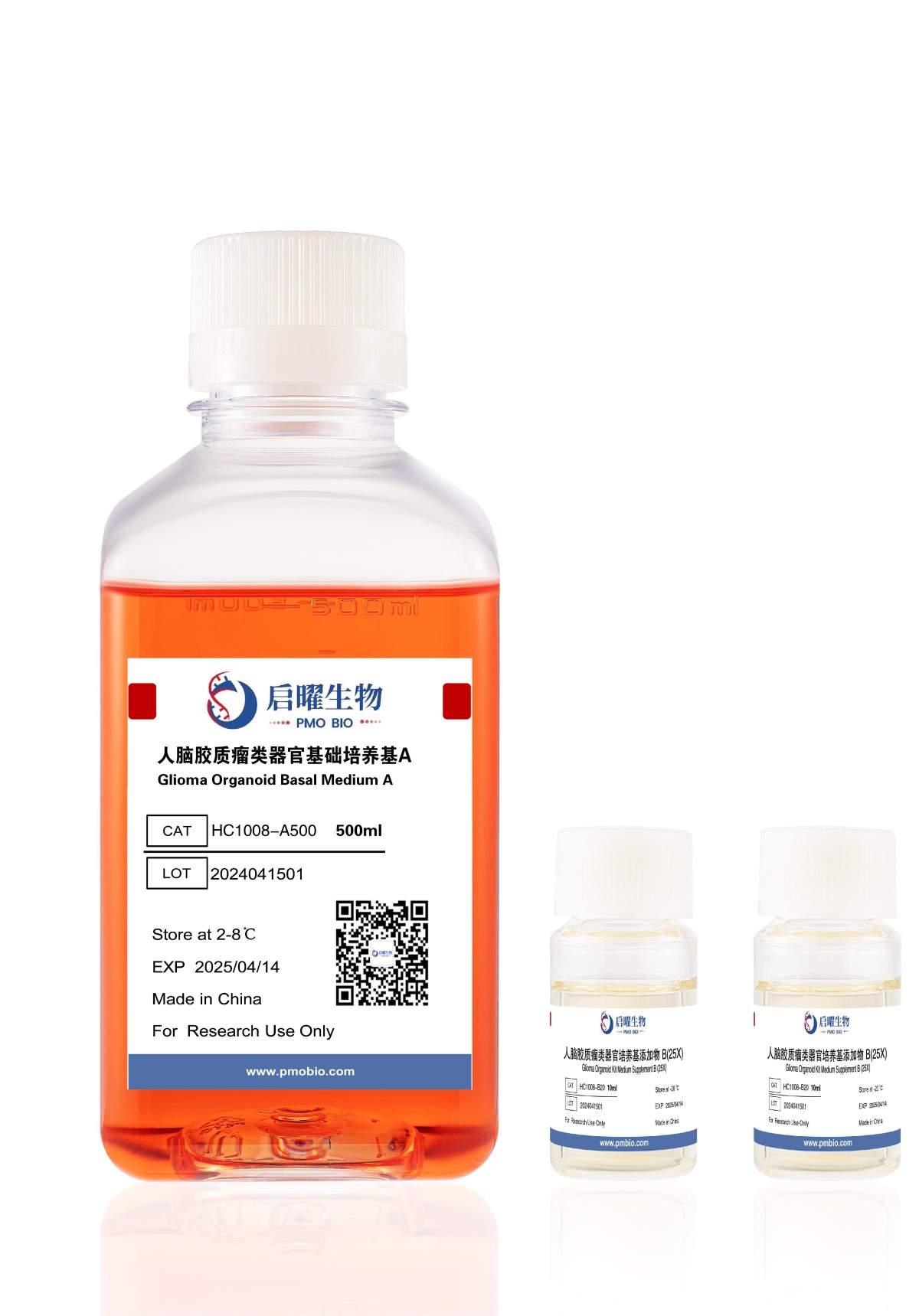 NGC Organoid®人脑胶质瘤类器官培养基