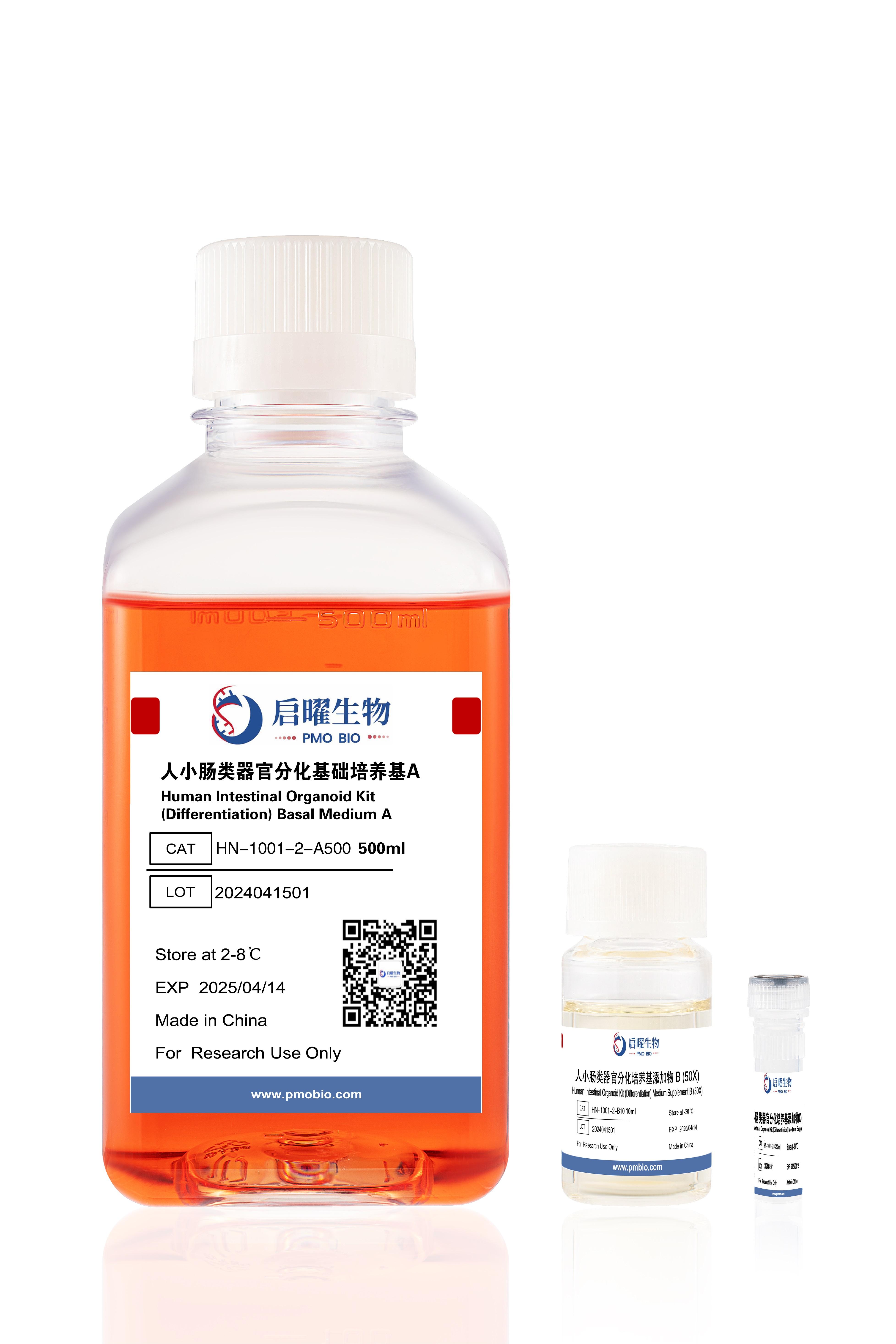 NGC Organoid®人小肠类器官分化培养基