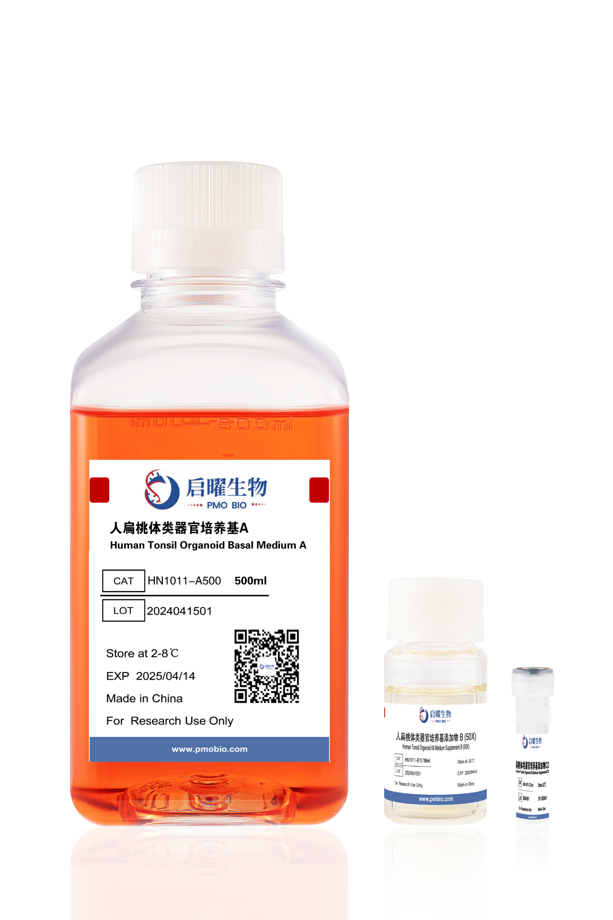 NGC Organoid®人扁桃体类器官培养基